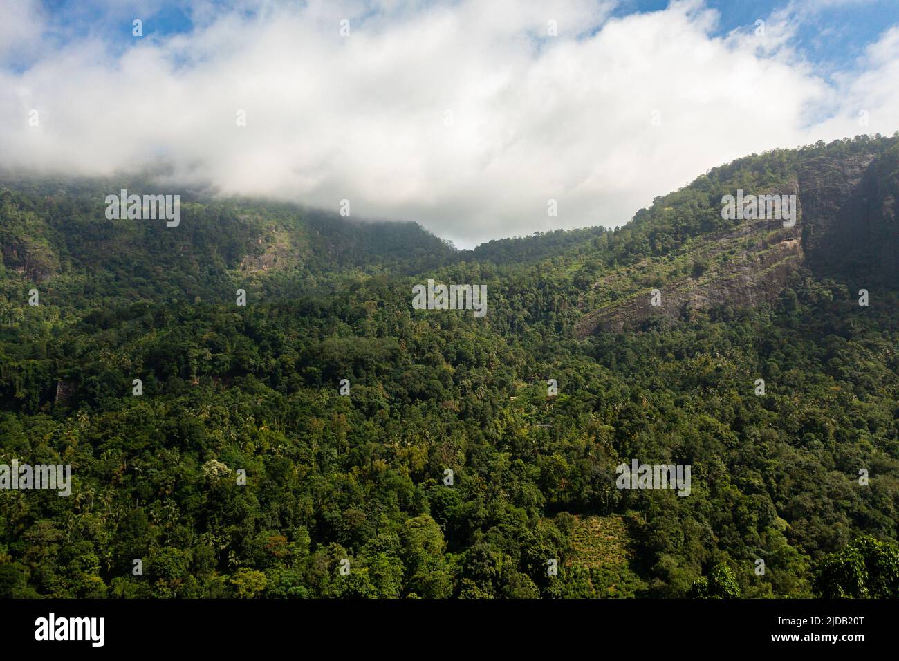 Giungla e montagne in Sri Lanka. Pendii di montagna con vegetazione tropicale. Foto Stock