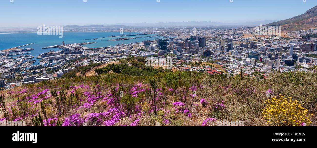 Panoramica del porto di Città del Capo e del porto con vista sul lungomare e sullo skyline della città da Signal Hill Foto Stock