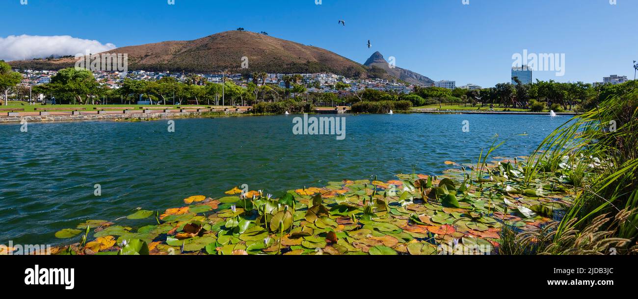 Green Point Park a Città del Capo con la cima della testa del Leone in lontananza; Green Point, Città del Capo, Sud Africa Foto Stock