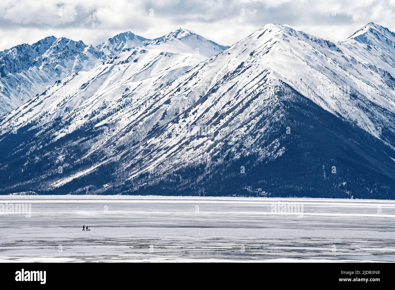 Due persone camminano con il loro cane sul lago ghiacciato Bennett durante la primavera dello Yukon; Carcross, Yukon, Canada Foto Stock