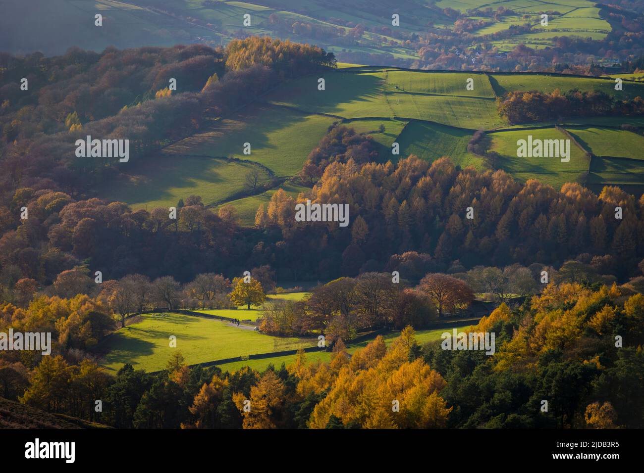 Campi e boschi in autunno vicino Stanage Edge, Peak District; Derbyshire, Inghilterra, Regno Unito Foto Stock