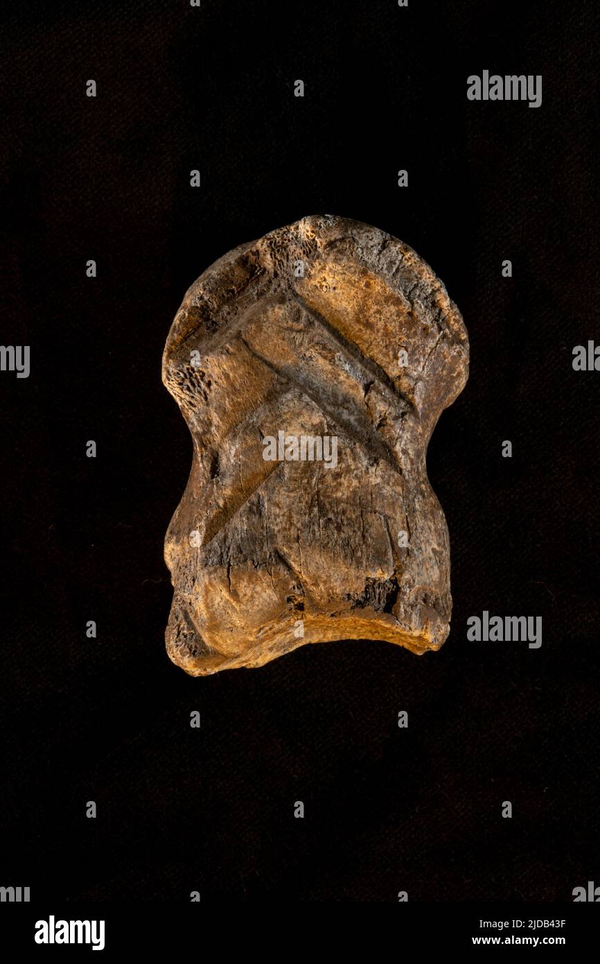 Questa è una fotografia dell'osso del cervo gigante o "Megaloceros", con l'incisione di Neanderthal scolpita. L'osso e' stato trovato per la prima volta da uno stallone MSC... Foto Stock