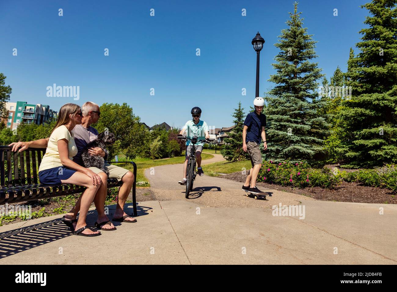 Fratelli che trascorrono del tempo insieme nel quartiere, uno in bicicletta e uno in skateboard, mentre i genitori si siedono con il cane su una panchina e guardano Foto Stock
