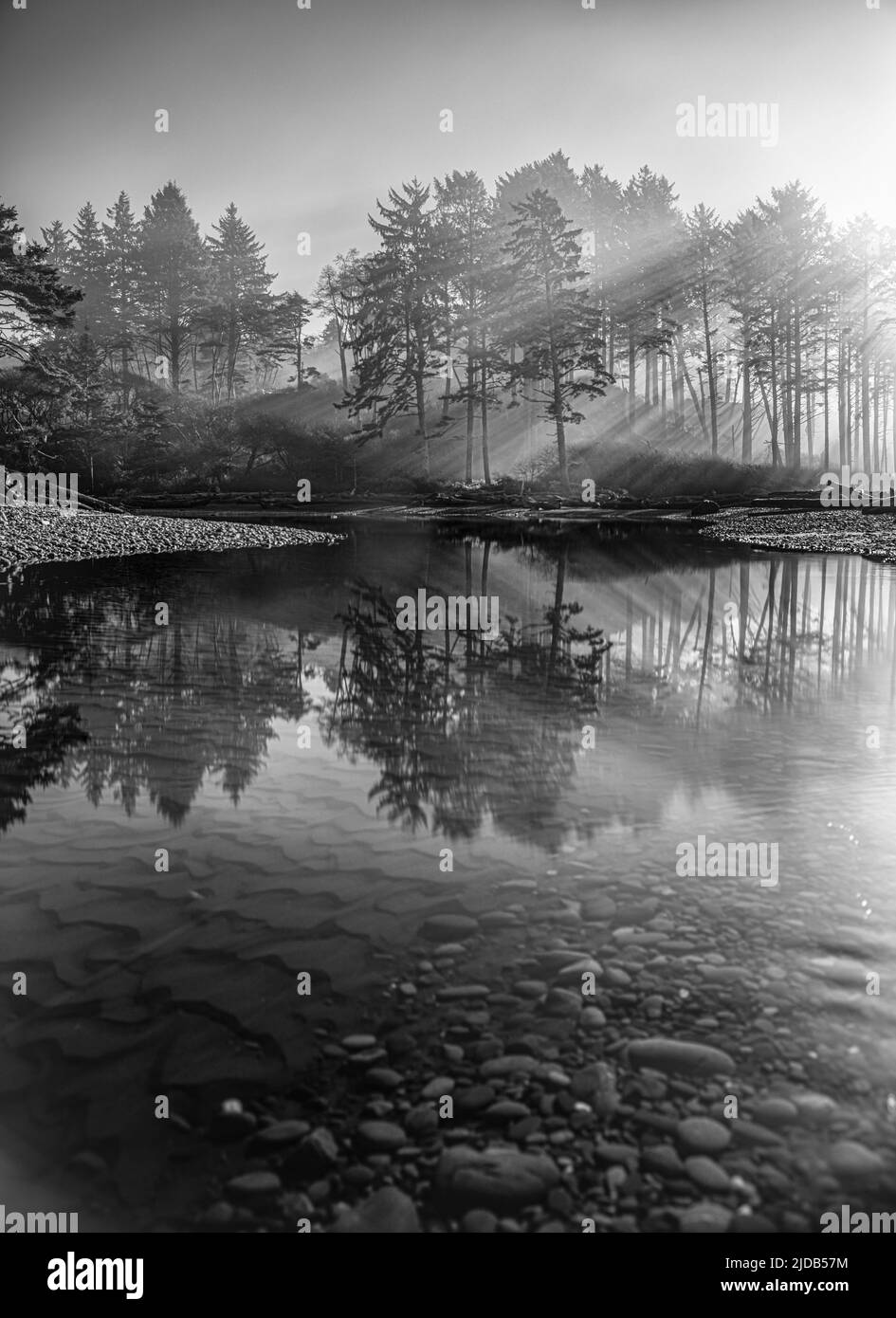Immagine in bianco e nero dei raggi del sole del mattino attraverso la nebbia del mattino riflessa su Cedar Creek nell'Olympic National Park sulla costa di Washington Foto Stock