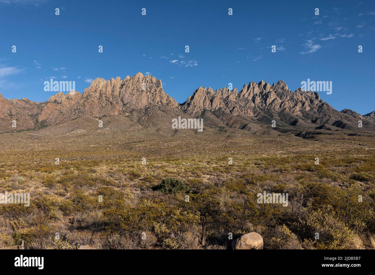 Vista delle vette frastagliate delle Organ Mountains, Organ Mountains-Desert Peaks National Monument, vicino a Las Cruces, New Mexico, Stati Uniti Foto Stock