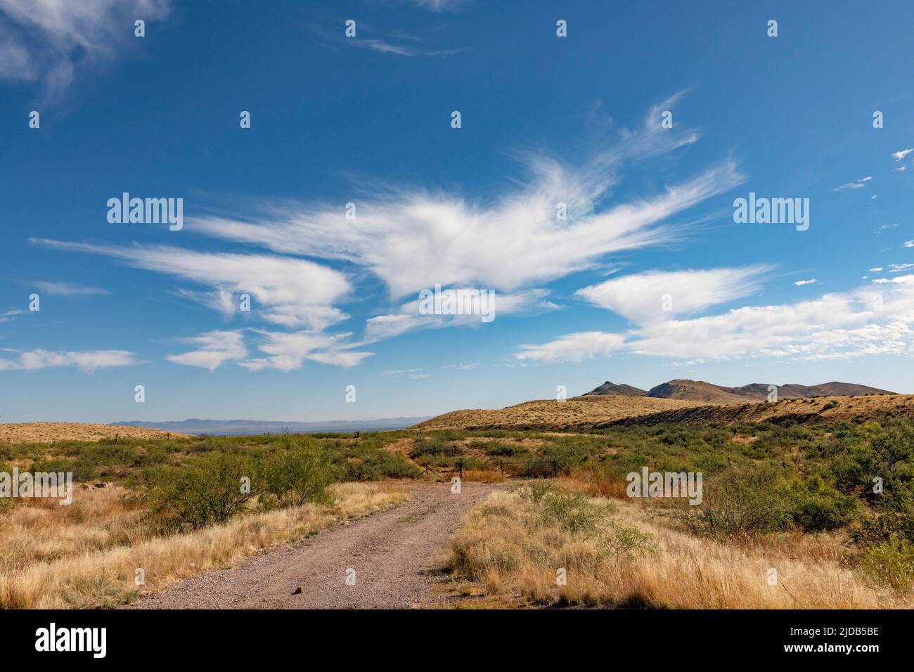 Cirrus Clouds cerca di far cadere un po' di umidità su Arizona, USA; Safford, Arizona, Stati Uniti d'America Foto Stock