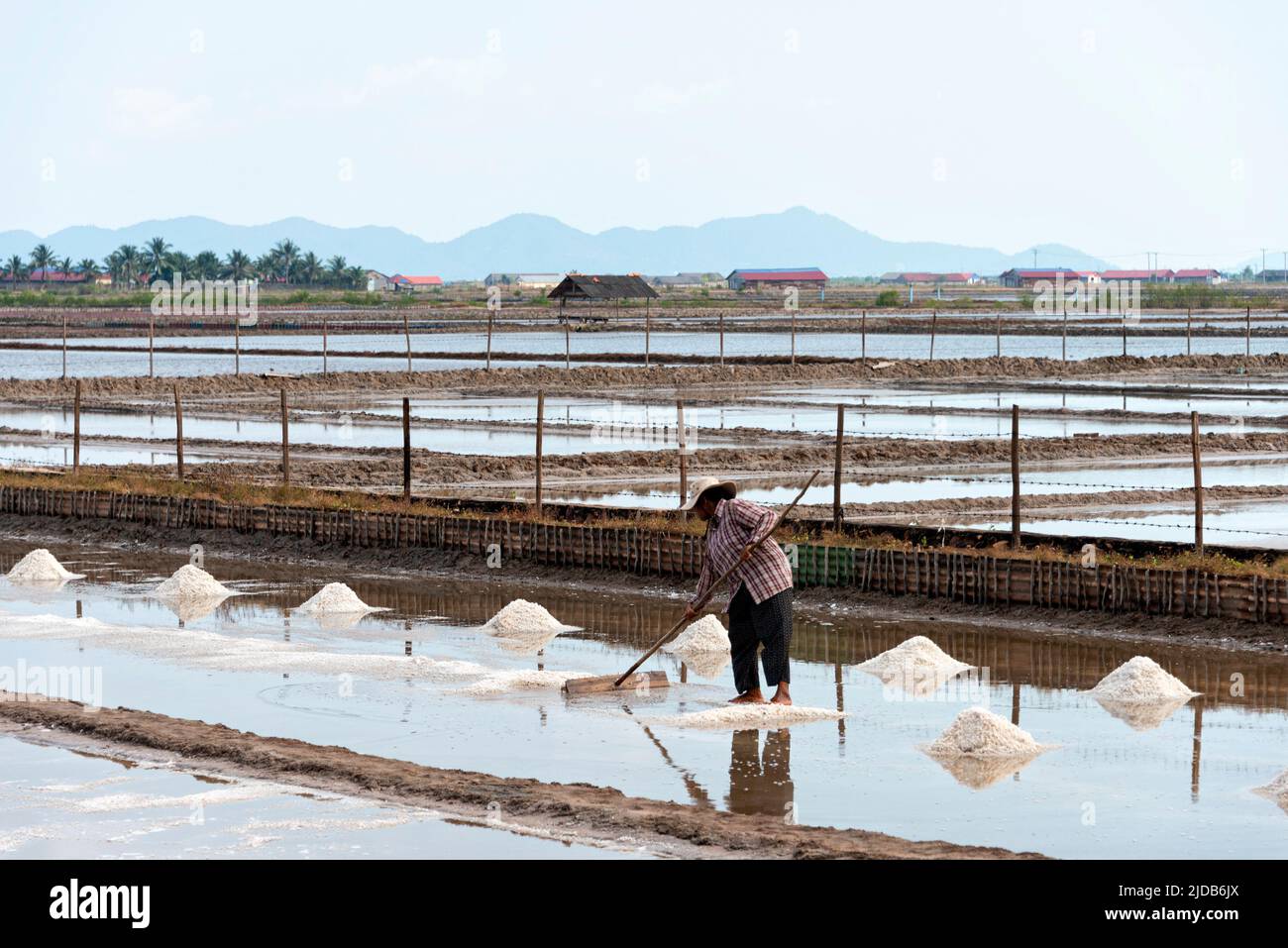 Allevamento di riso in una comunità agricola nel sud della Cambogia; Kampot, Cambogia Foto Stock