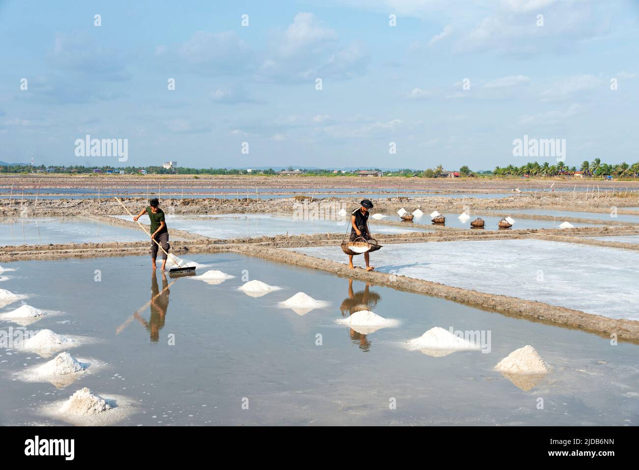 Risaie comunità in Cambogia meridionale; Kampot, Cambogia Foto Stock