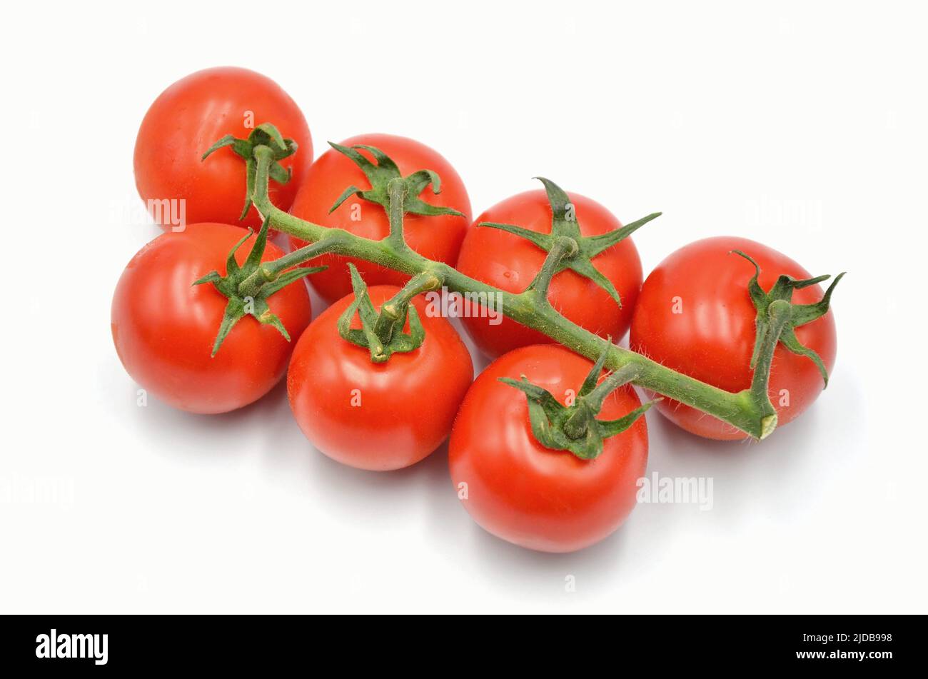 Pomodori su sfondo bianco Foto Stock
