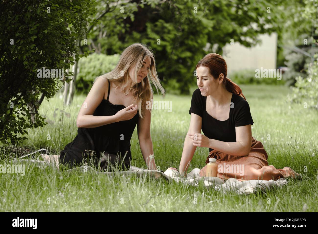 Due donne che si divertono a picnic con gatto bianco sfinge. Amici in coperta con animale domestico che comunica felicemente. Allegra femmina parlare all'aperto, mangiare Foto Stock