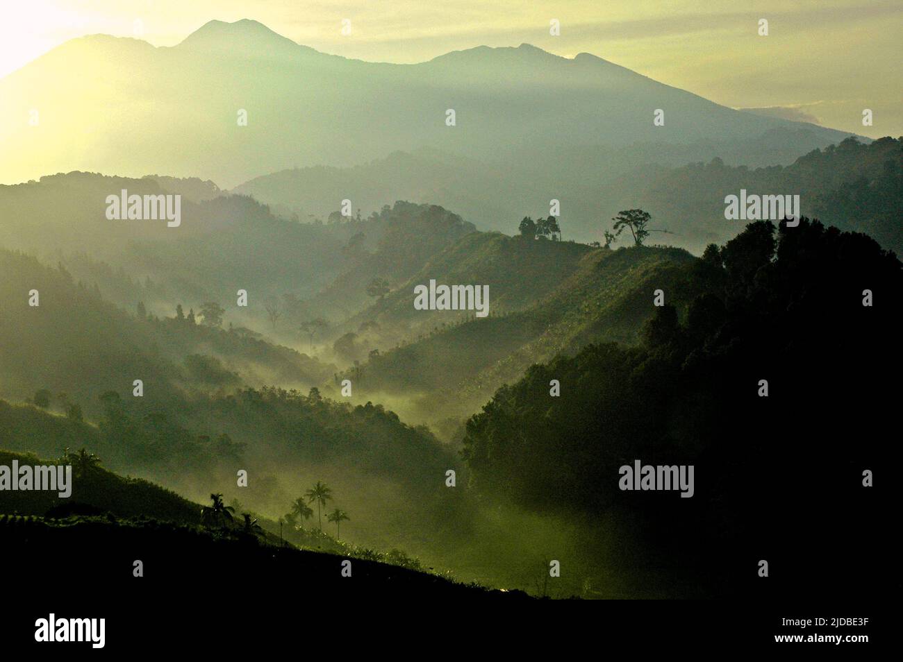 Creste di montagna ricoperte di foresta e cespugli sullo sfondo del Monte Pangrango (a sinistra) e del Monte Gede, che sono la zona centrale del Parco Nazionale del Monte Gede Pangrango, fotografato dal villaggio di Benda a Cicurug, Sukabumi, Giava Occidentale, Indonesia. Foto Stock