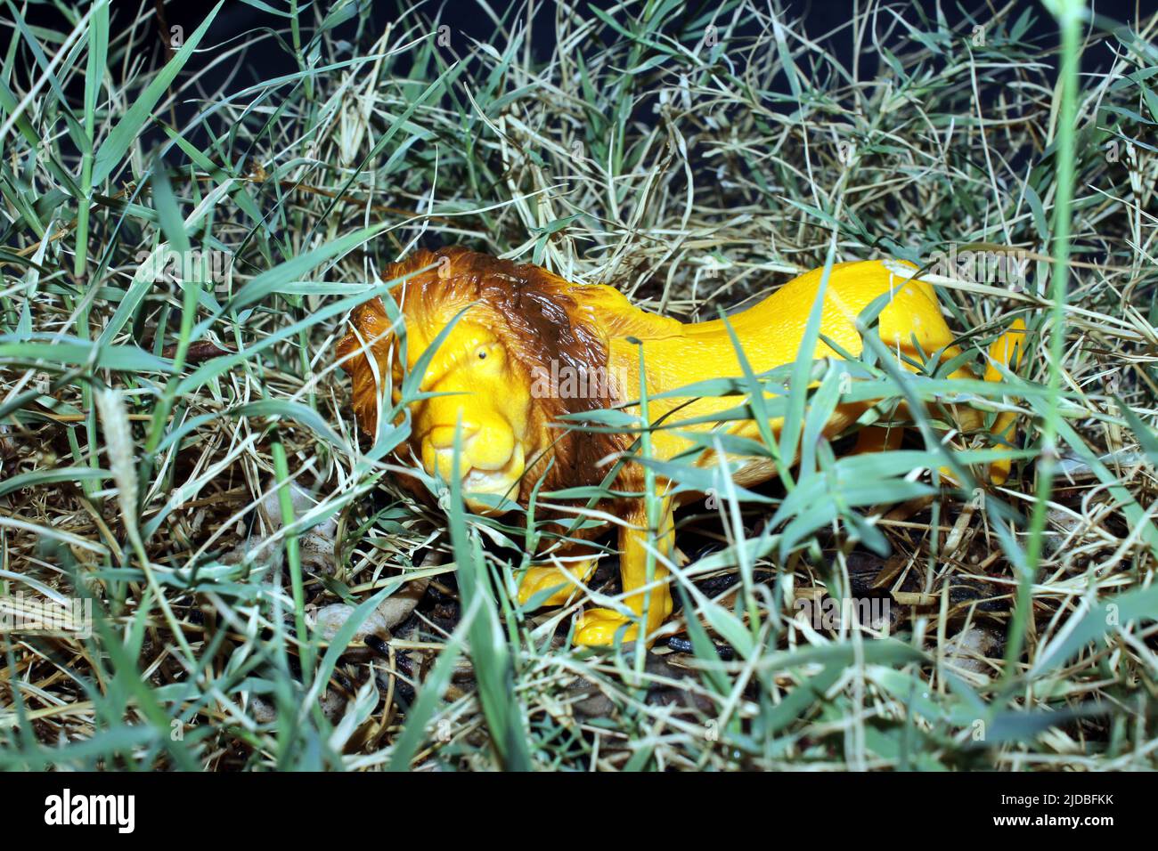 Giocattoli di plastica per bambini animali in erba verde Foto Stock