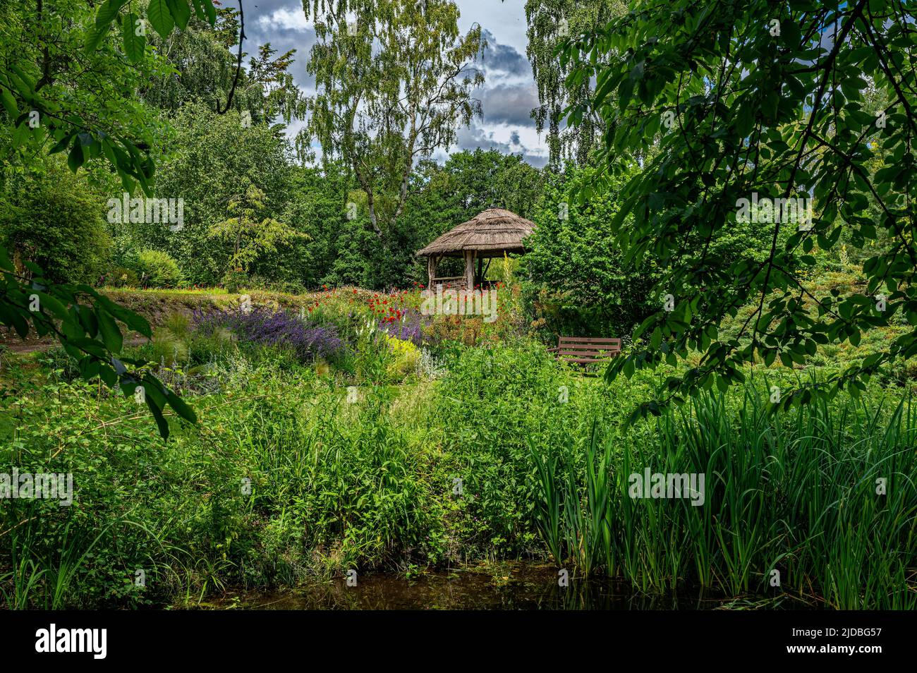 Vista panoramica dei giardini acquatici a Gooderstone, nella parte occidentale del norfolk, Regno Unito. Foto Stock
