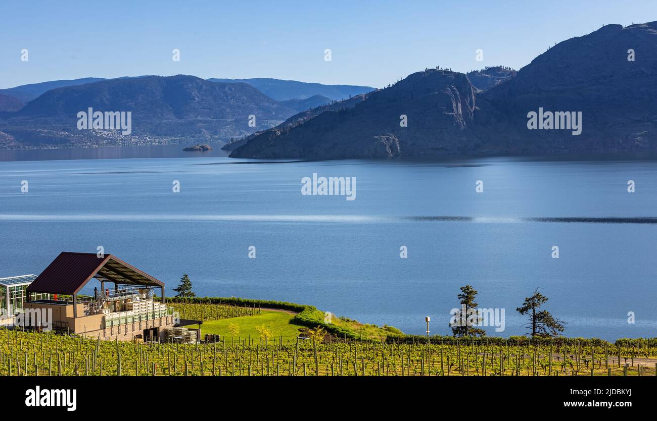 Summer Winery vista dei vigneti di Kelowna che circondano il lago Okanagan con le montagne. Lago Okanagan vicino a Summerland British Columbia Canada con un lago Foto Stock