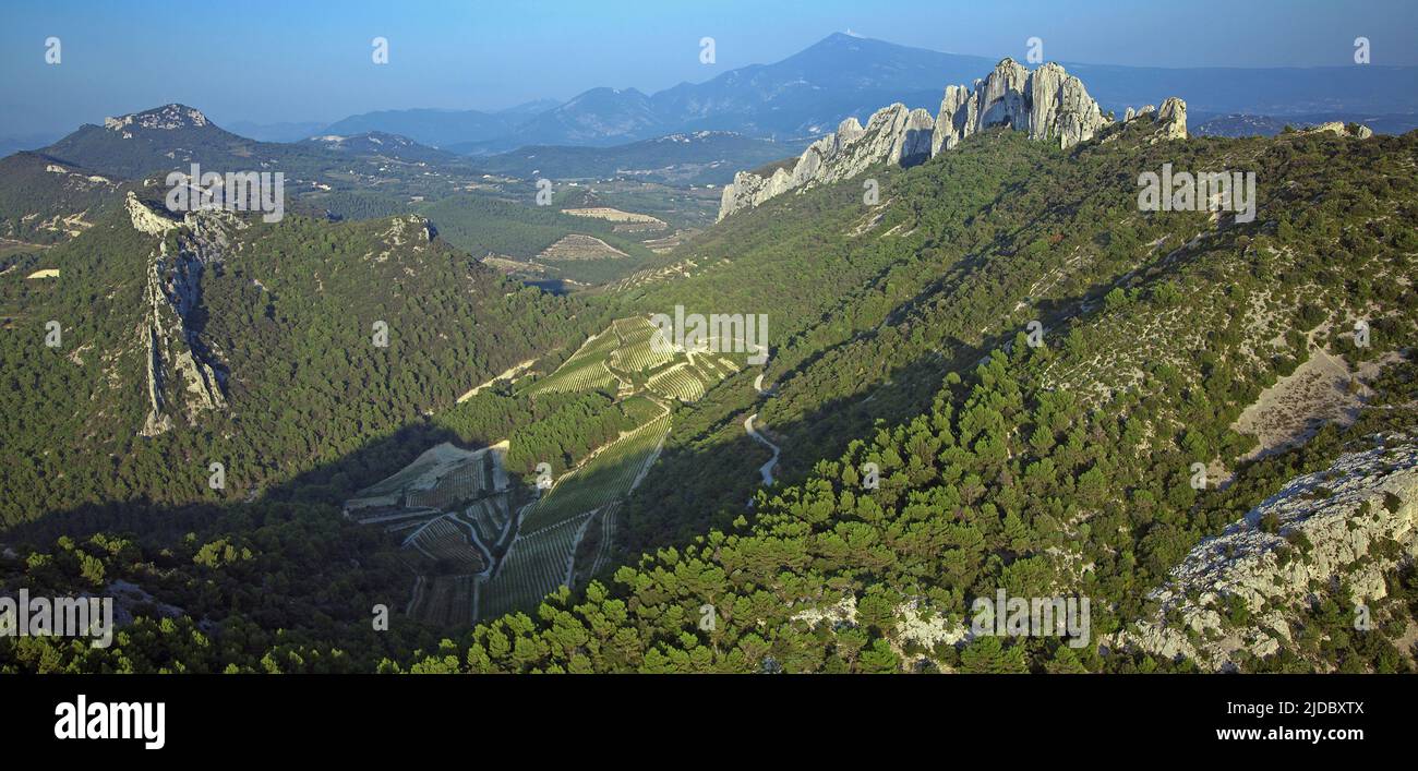 Francia, Vaucluse, Gigondas, Dentelles de Montmirail paesaggio, Côtes du Rhône vigneti, Vacqueyras Foto Stock