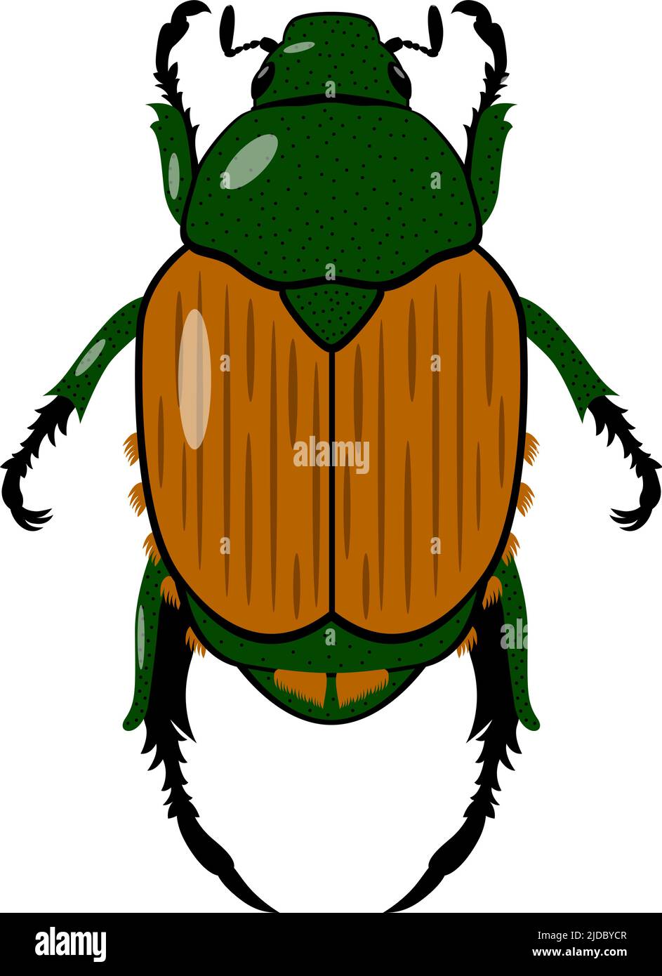 Beetle giapponese, Popillia japonica. Illustrazione vettoriale di un insetto su sfondo trasparente Illustrazione Vettoriale