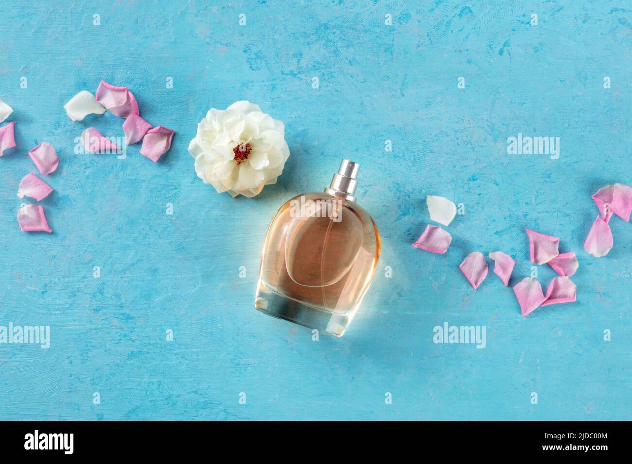 Bottiglia di fragranza rosa, un prodotto di lusso, girato dall'alto su sfondo blu con fiori freschi e petali, con un posto per il testo Foto Stock