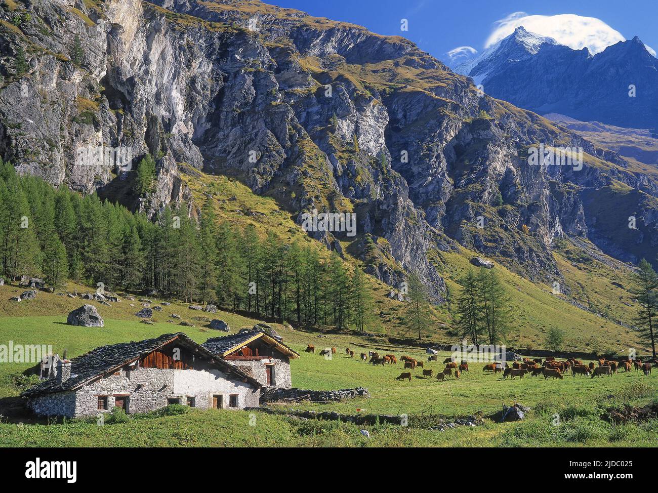 Francia, Savoia, Peisey-Nancroix, Parco Nazionale della Vanoise dai pascoli di alta montagna di Rosuel, Foto Stock