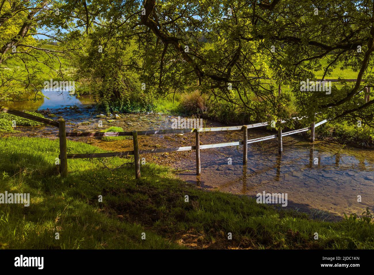 River Leach; a nord di Southrop, Gloucestershire Foto Stock