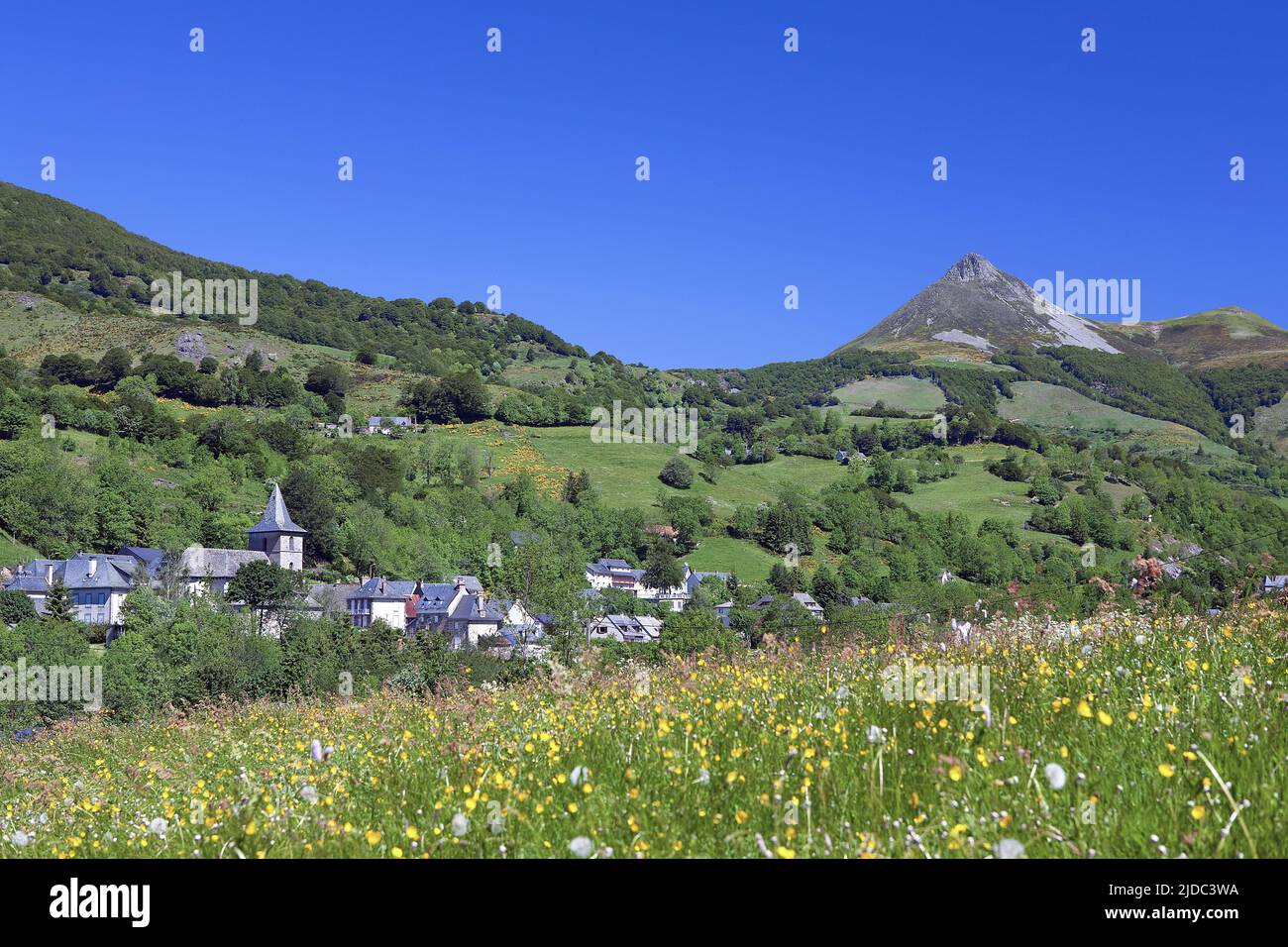 Francia, Cantal Saint-Jacques-des-Blats, paesaggi delle montagne del Cantal, Puy Griou Foto Stock