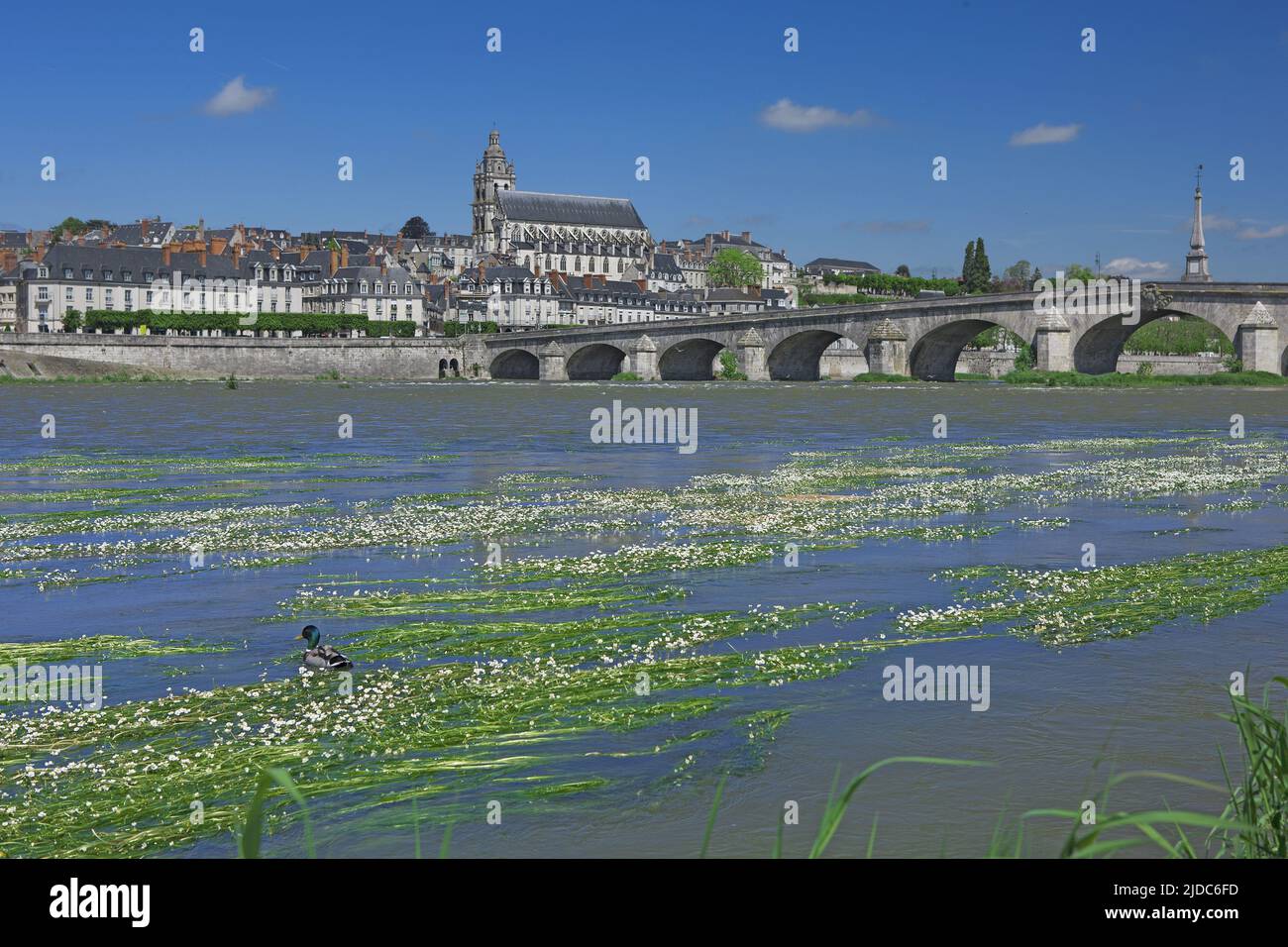 Francia, Indre-et-Loire Blois, la città dalle rive della Loira Foto Stock