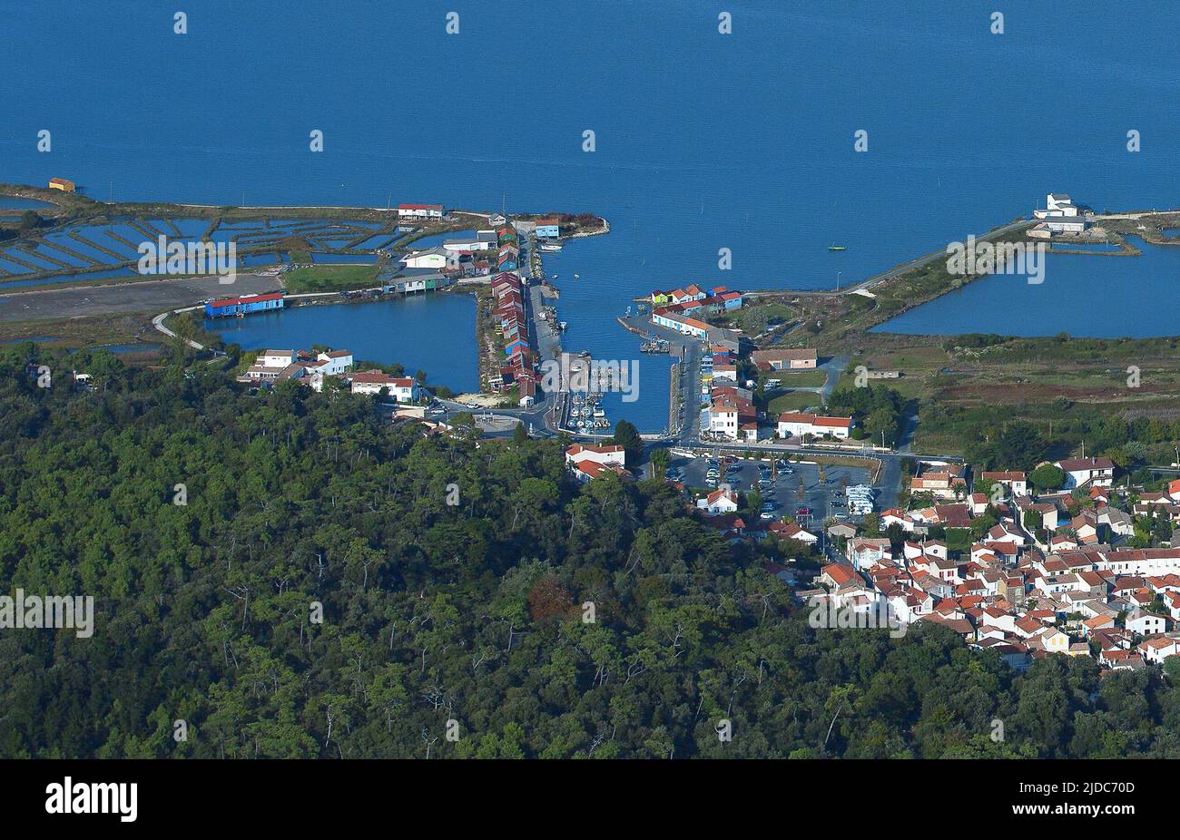 Charente-Maritime, Saint-Trojan-les-Bains e il ponte dell'Isola d'Oleron (vista aerea) Foto Stock