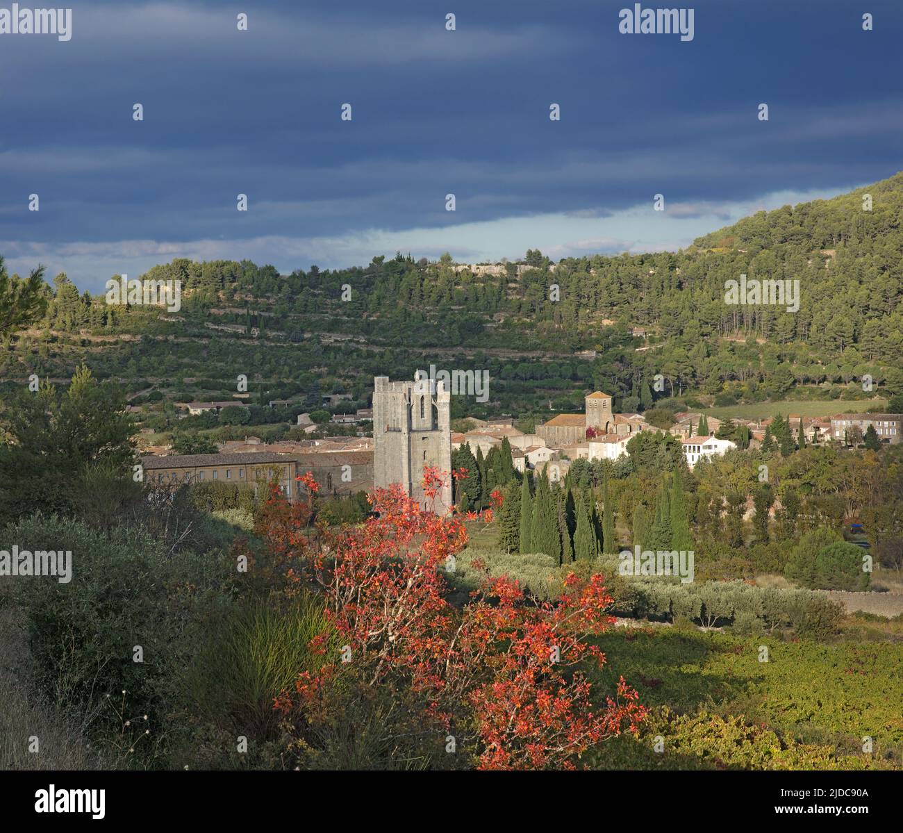 Francia, Aude Lagrasse classificato villaggio, Sainte-Marie de Lagrasse Abbazia Foto Stock