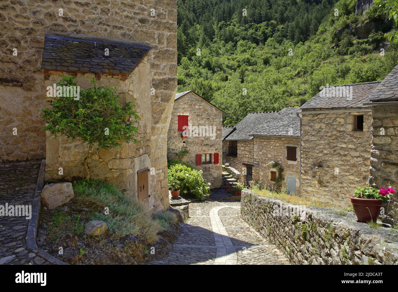 Francia, Lozere Sainte-Enimie, vecchio villaggio di Castelbouc Foto Stock