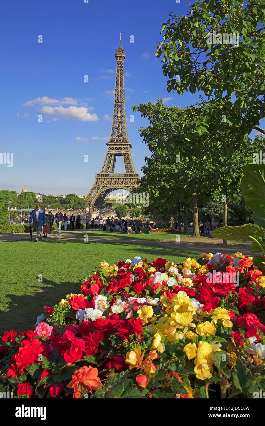 Francia, Parigi, Parigi, Torre Eiffel in estate, aiuole in primo piano Foto Stock