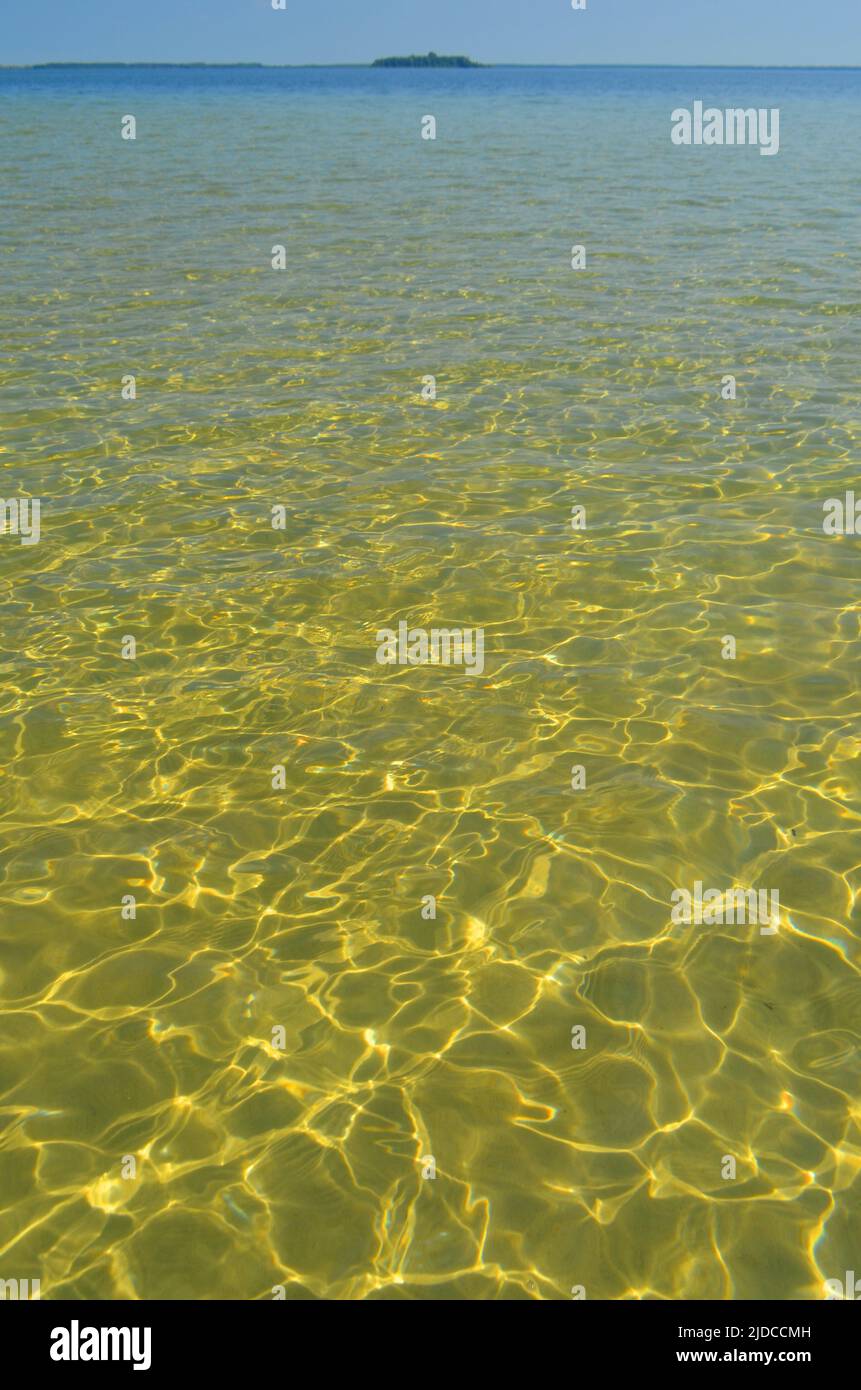 Acqua limpida e trasparente del lago estivo Foto Stock