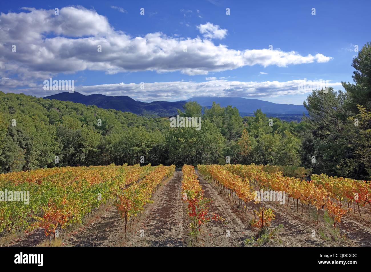 Francia, Drôme, Vinsobre vigneti Cotes-du-Rhône, strada del vino in autunno Foto Stock