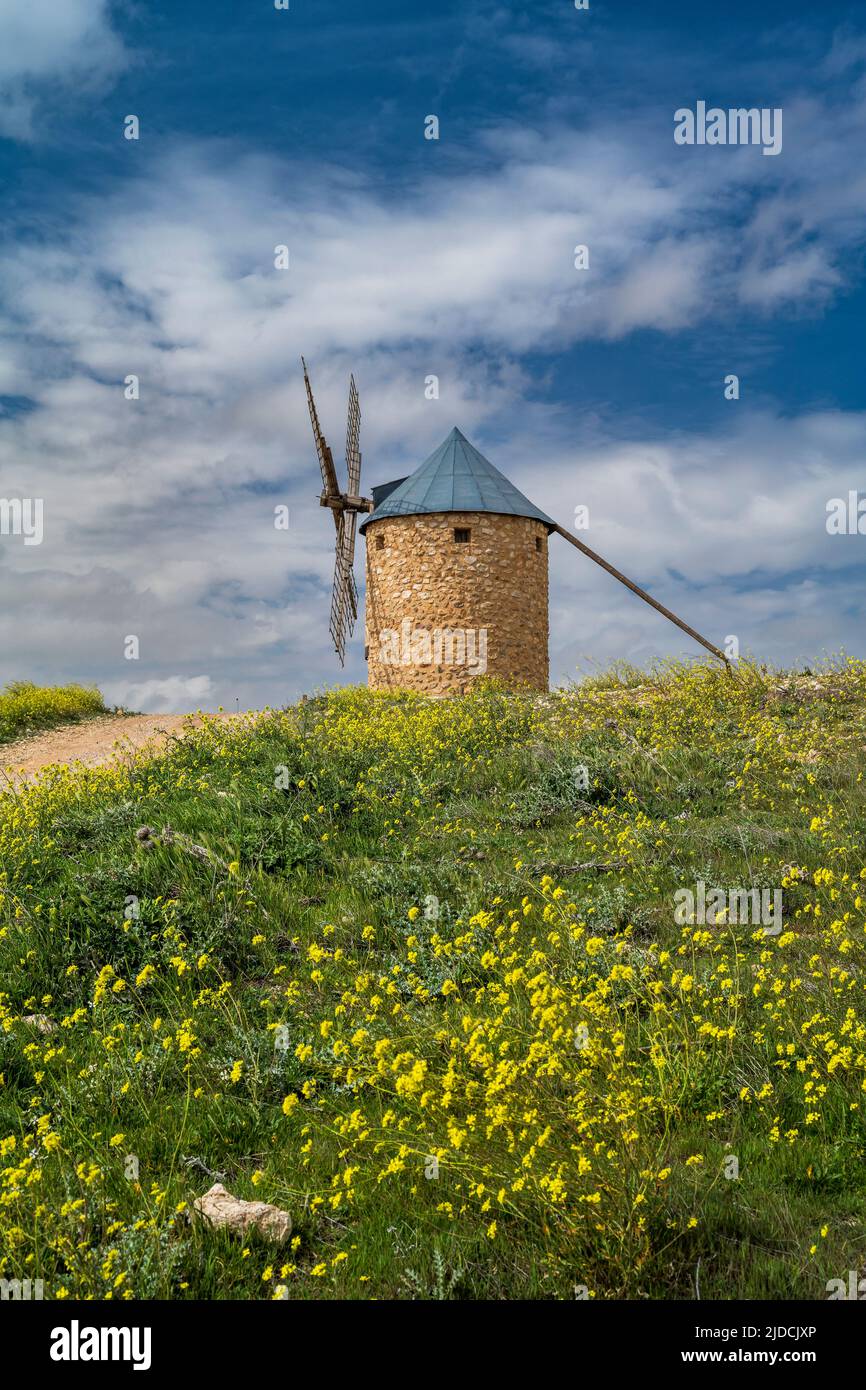 Mulino a vento in un paesaggio di primavera panoramico, Belmonte, Castilla-la Mancha, Spagna Foto Stock