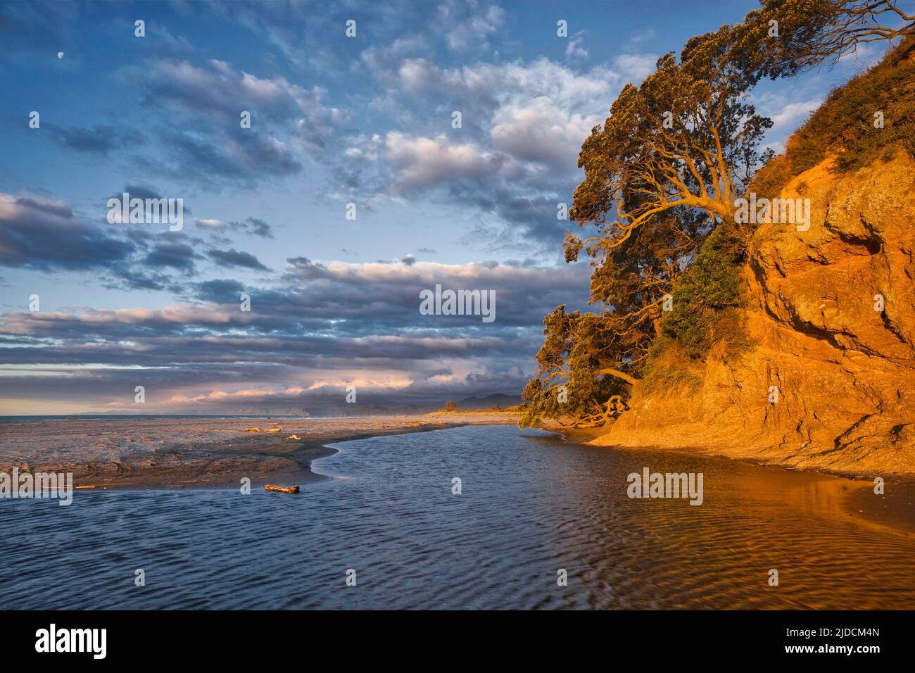 Tirohanga Beach, Nuova Zelanda, Bay of Plenty. Il sole di mezzogiorno tardi si riflette contro la faccia della scogliera, Credit:Robin Bush / Avalon Foto Stock