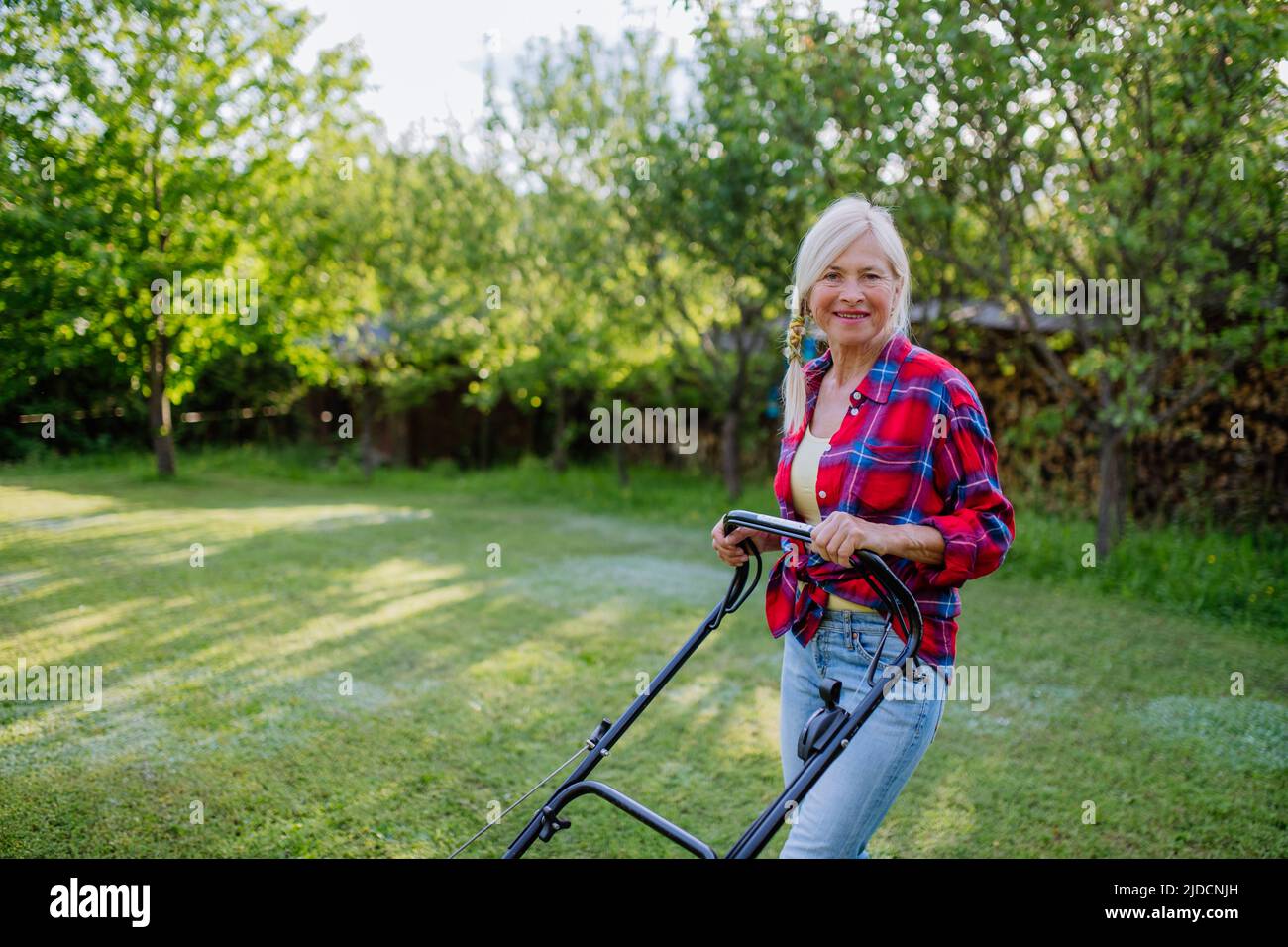 Donna anziana che taglia erba con tosaerba in giardino, concetto di lavoro in giardino. Foto Stock