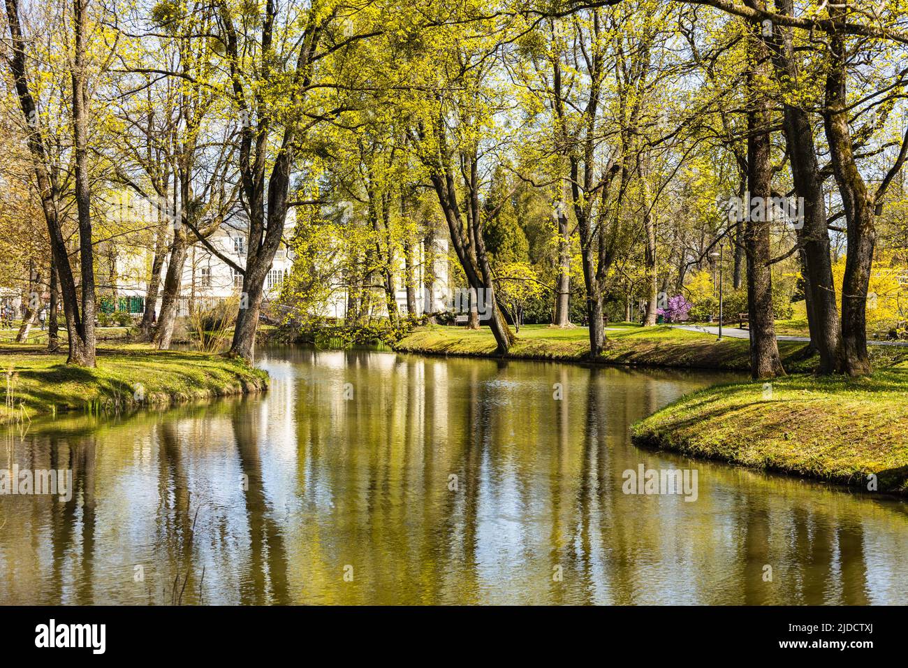 Bellissimo paesaggio vicino al parco della città stagno Foto Stock