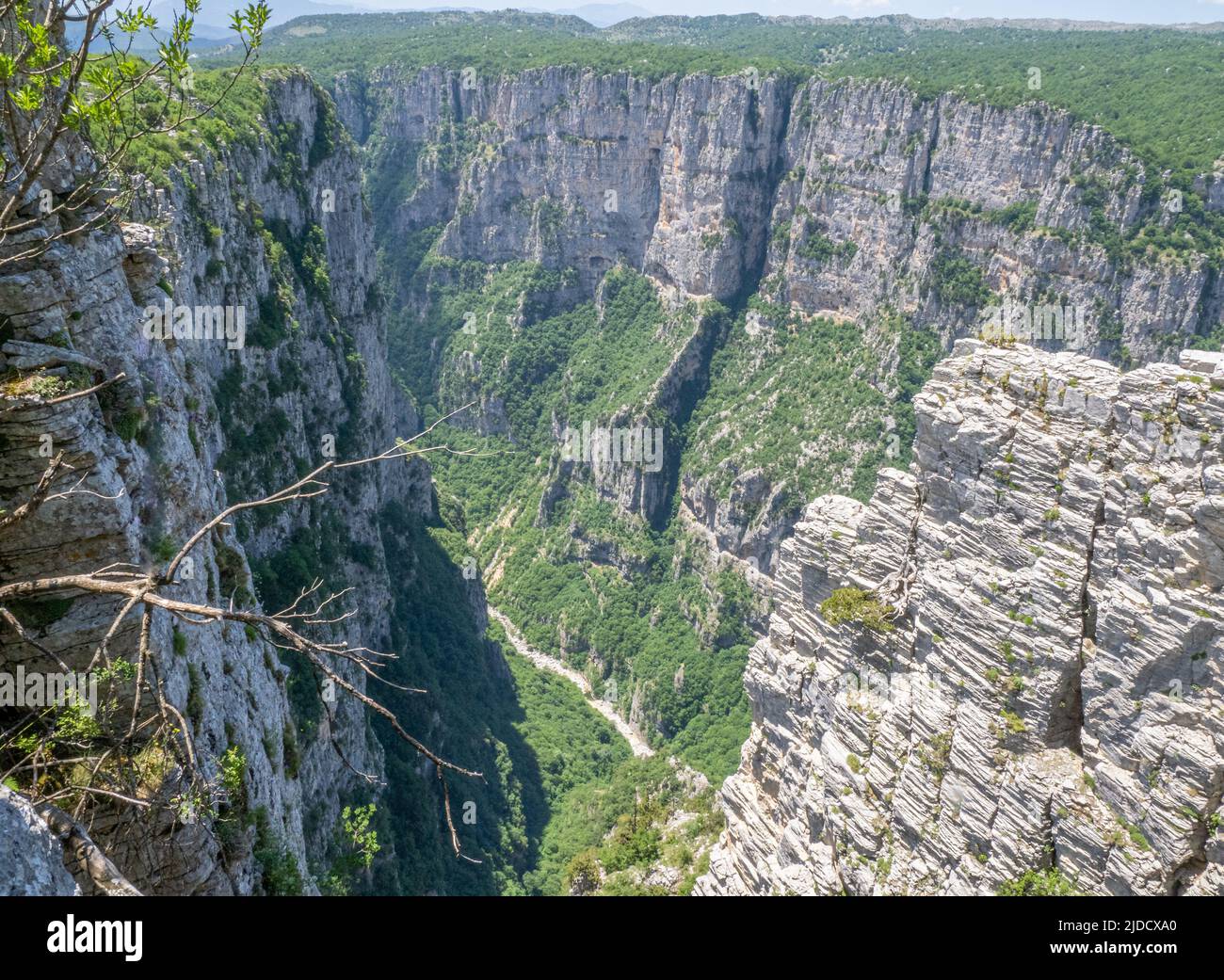 La gola di Vikos nella regione Zagori dei Monti Pindus della Grecia settentrionale, vista dal beloi Foto Stock