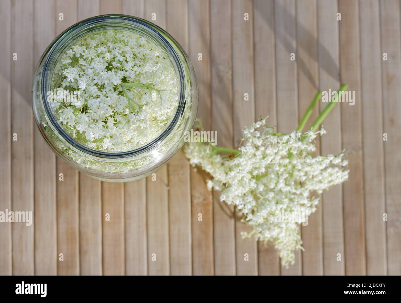 Colpo superiore di una pentola di fiori di sambuco, una fonte naturale di vitamine. Produzione di limonata fatta in casa Foto Stock