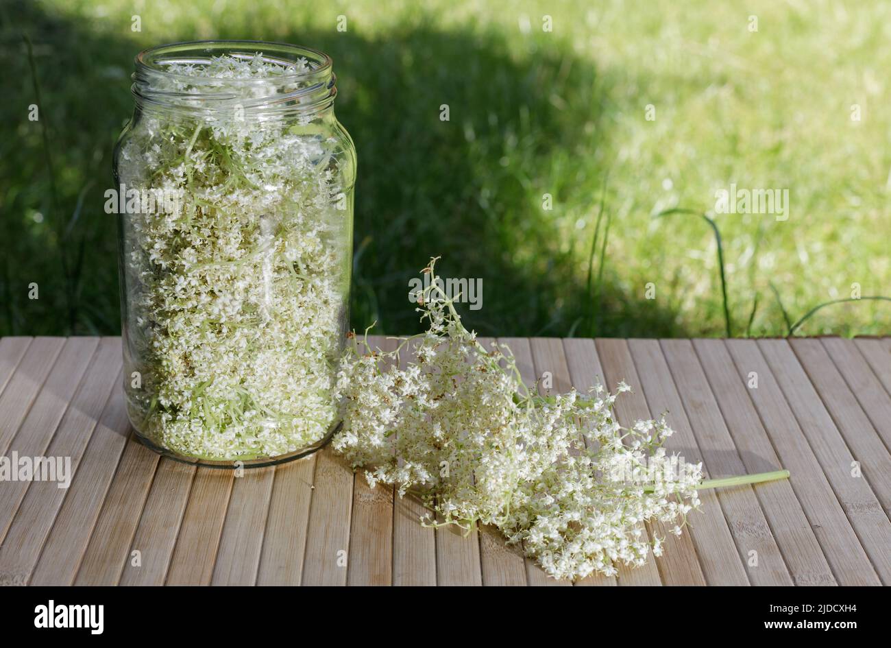 Giara di fiori di sambuco, produzione di limonata naturale. Immagini realistiche e naturali. Foto Stock
