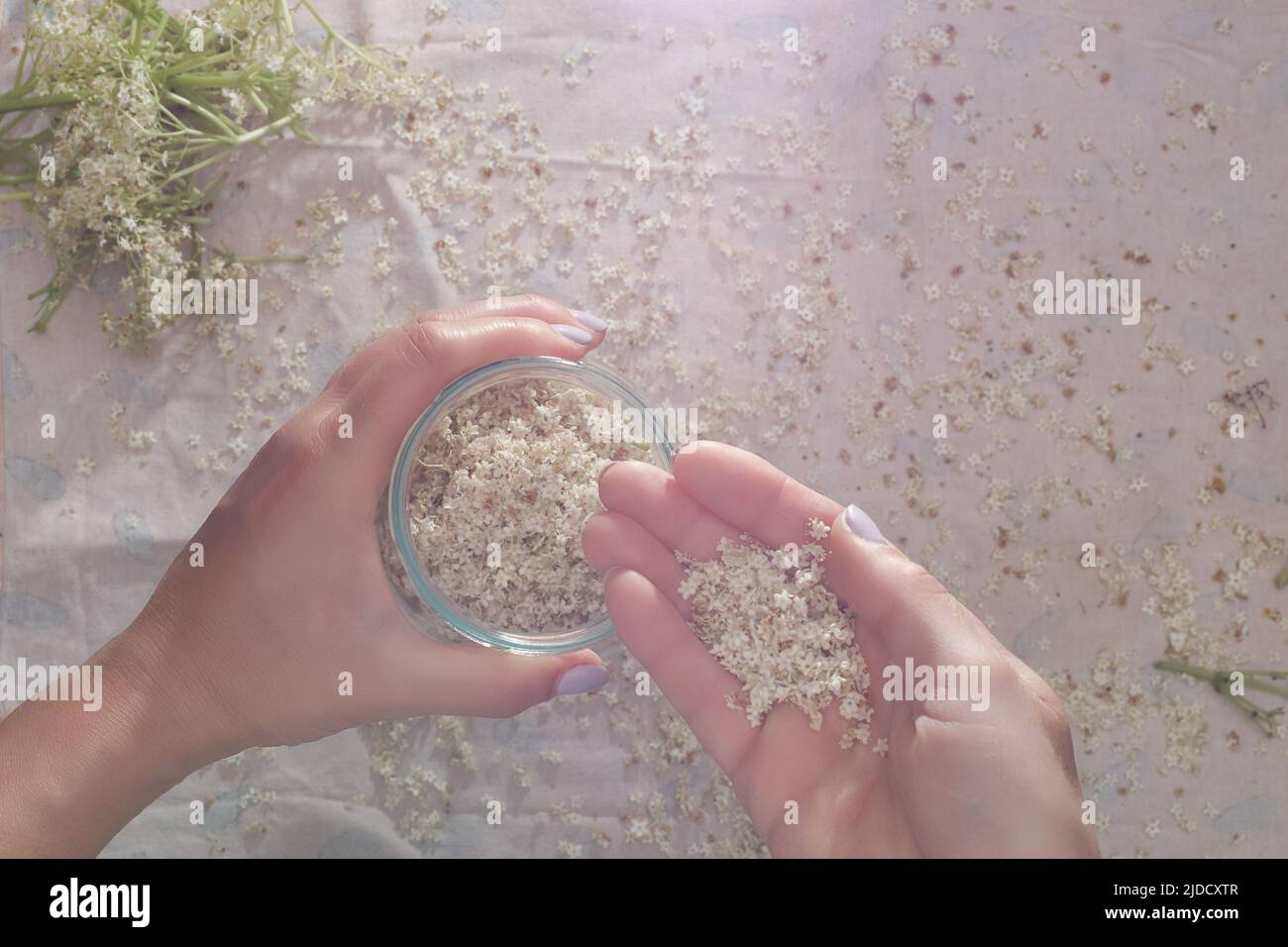 Le mani di una donna, la preparazione della limonata naturale. Scattata dall'alto, atmosfera idilliaca Foto Stock