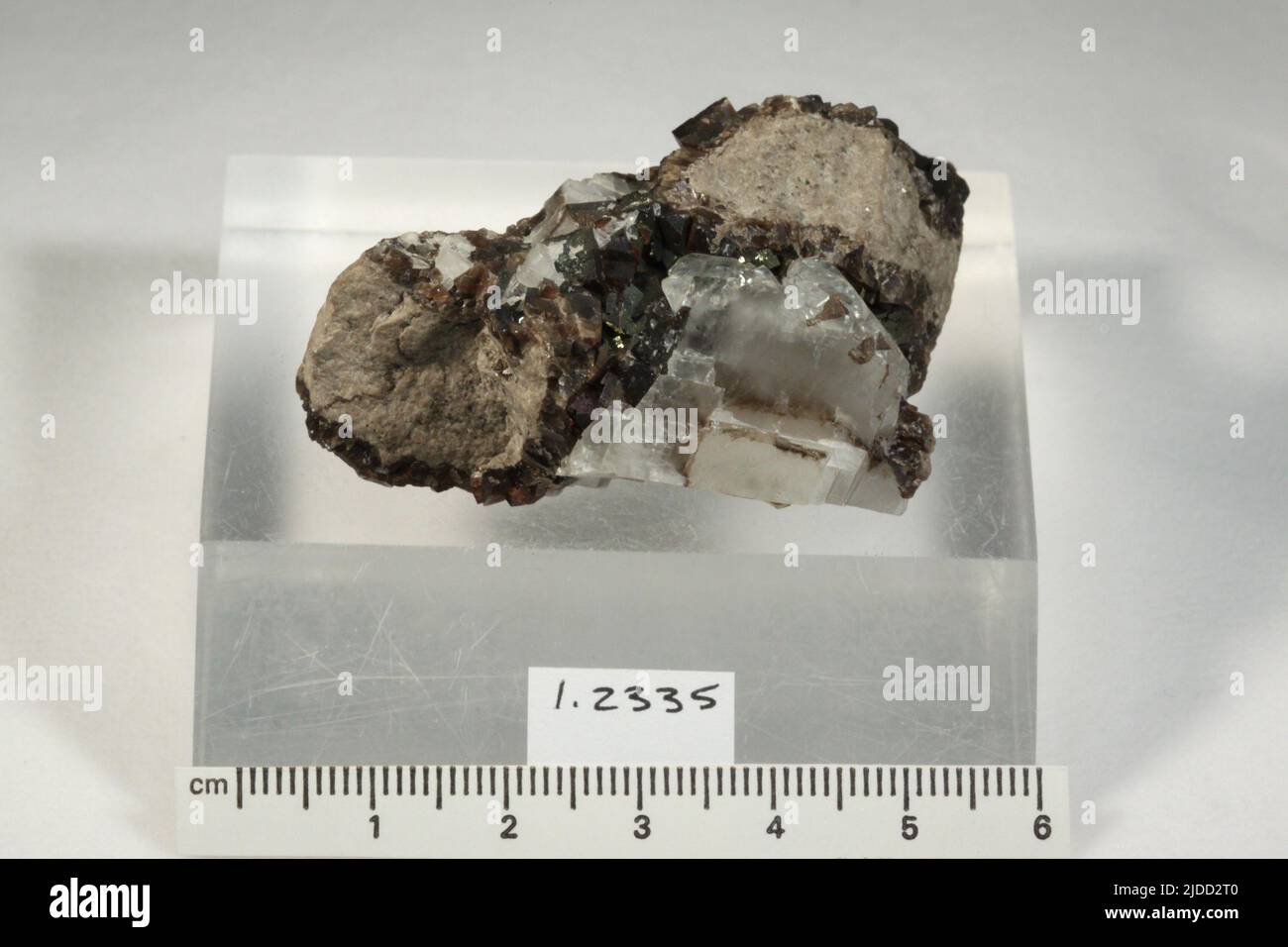 Minerali di fluorite. Nord America; USA; Ohio; Charloe Foto Stock