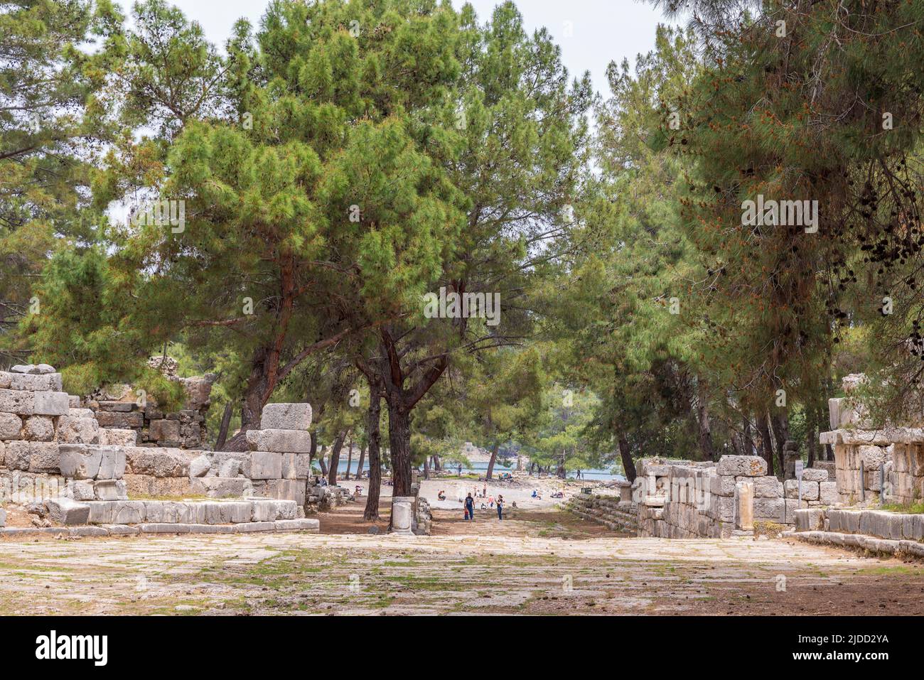 La strada principale nell'antica città di Phaselis che conduce il nord di due porti in Turchia vicino a Kemer. Foto Stock