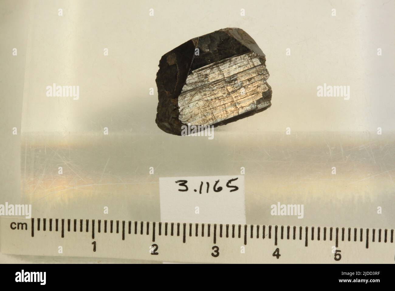 Wolframite. Minerali. Europa; Repubblica Ceca; Boemia. Zinnwald Foto Stock