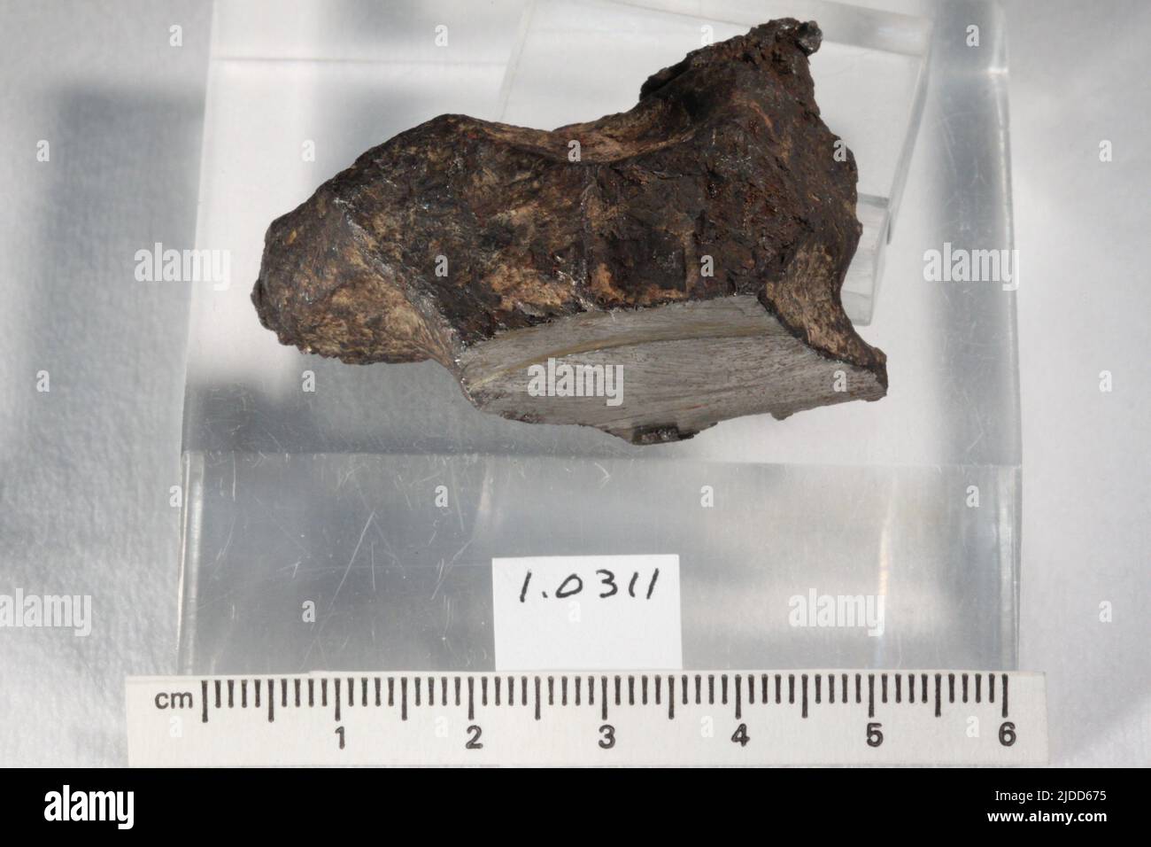 Ferro. Minerali. Nord America; Stati Uniti; Georgia; Contea di Putnam Foto Stock