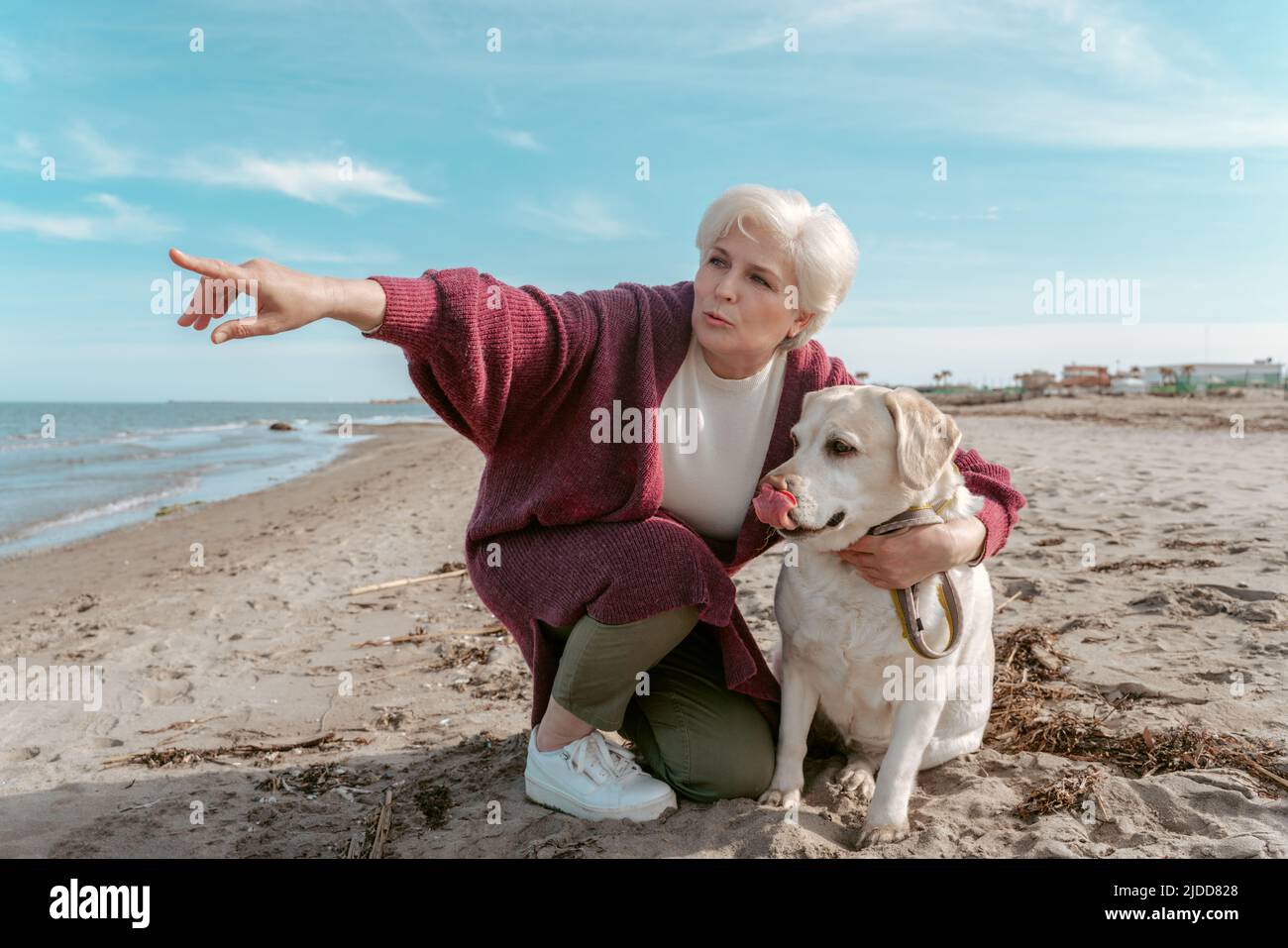 Concentrato donna dai capelli grigi che addestrano il Labrador Retriever sulla spiaggia Foto Stock