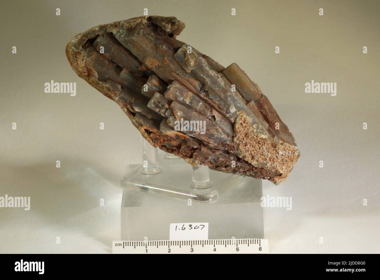 Quarzo. Minerali. Nord America; Messico; Chihuahua; Casas Grandes Foto Stock