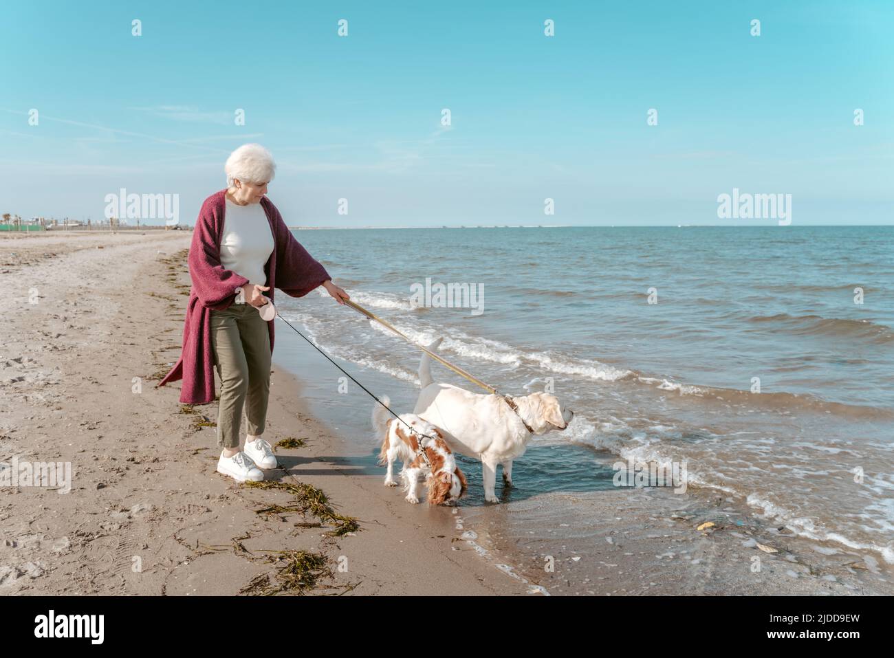 Signora anziana con i suoi animali sulla spiaggia Foto Stock