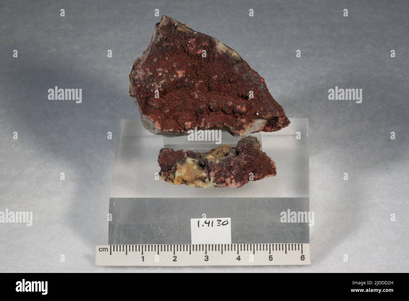 Calaverite. Minerali. Nord America; USA; Colorado; Teller County; Cripple Creek; Miniera di Buena Vista Foto Stock