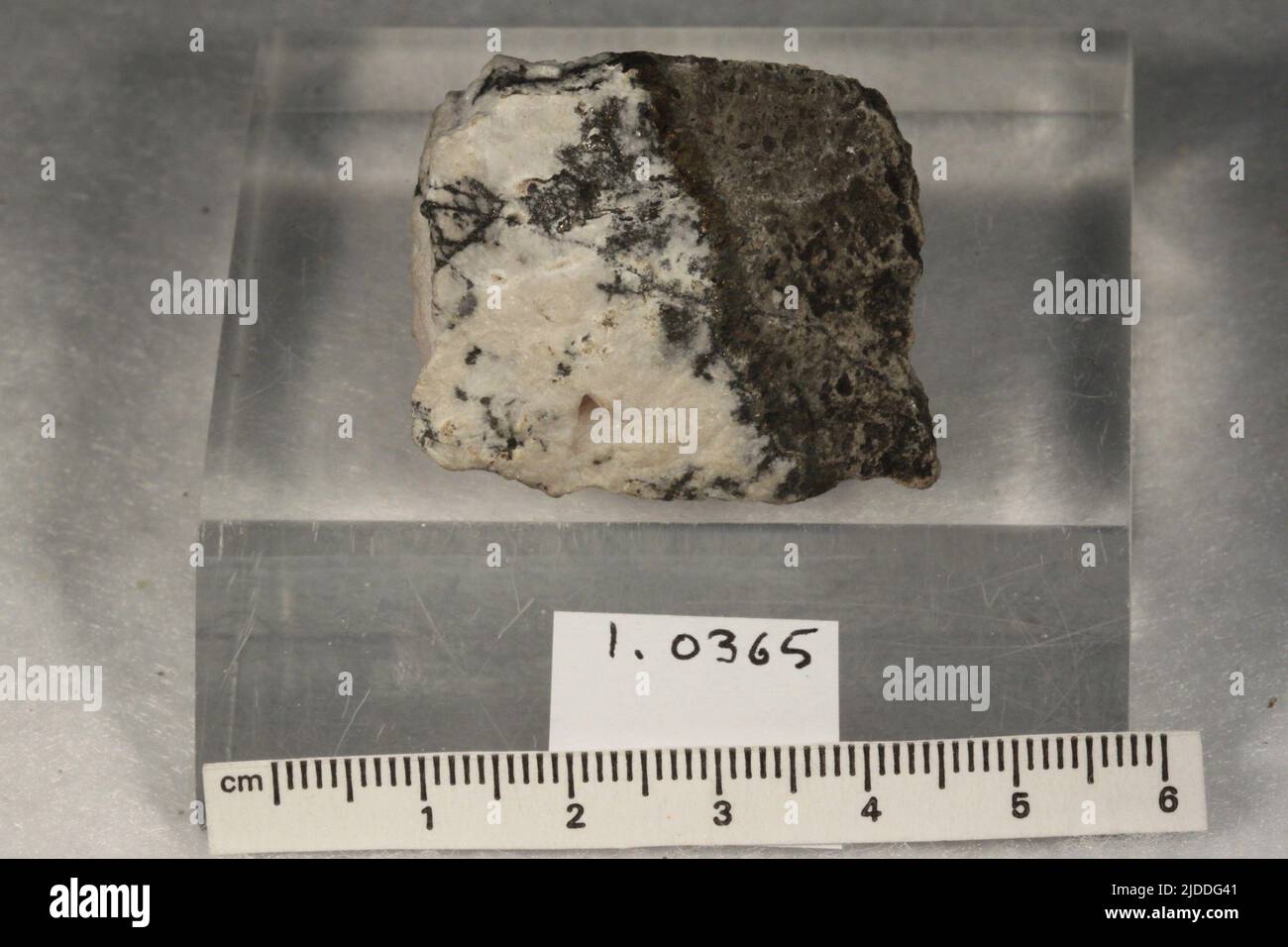 Tellurio. Minerali. Europa; Romania; Transilvania; Alba; Zlatna Pirita; fa?a B?II [Transilvania, Facebaz, Zalathna] Foto Stock