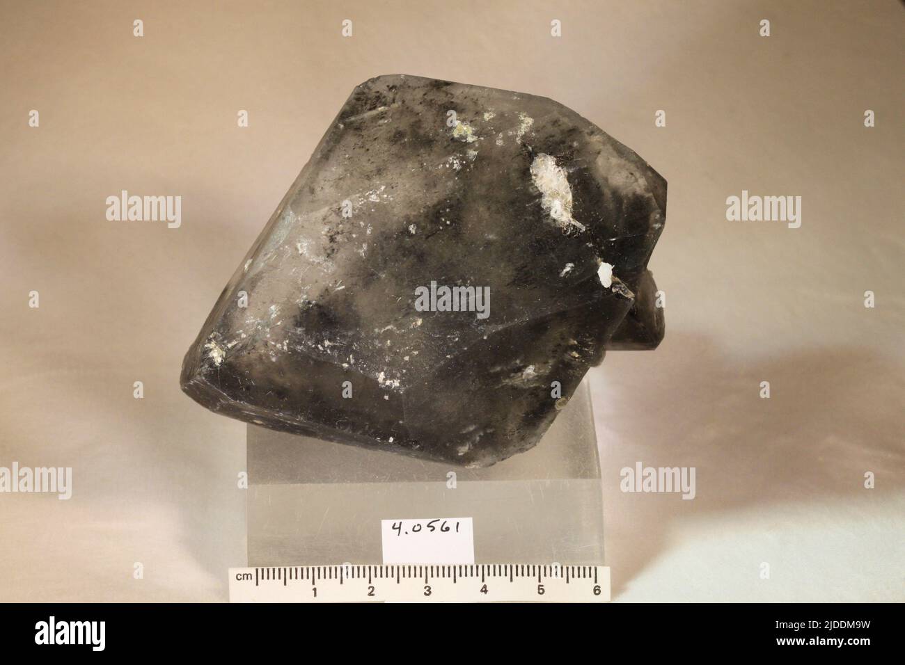 Blodite. Minerali. Nord America; USA; California; Contea di San Luis Obispo; Lago Soda, pianure di Carrizo Foto Stock