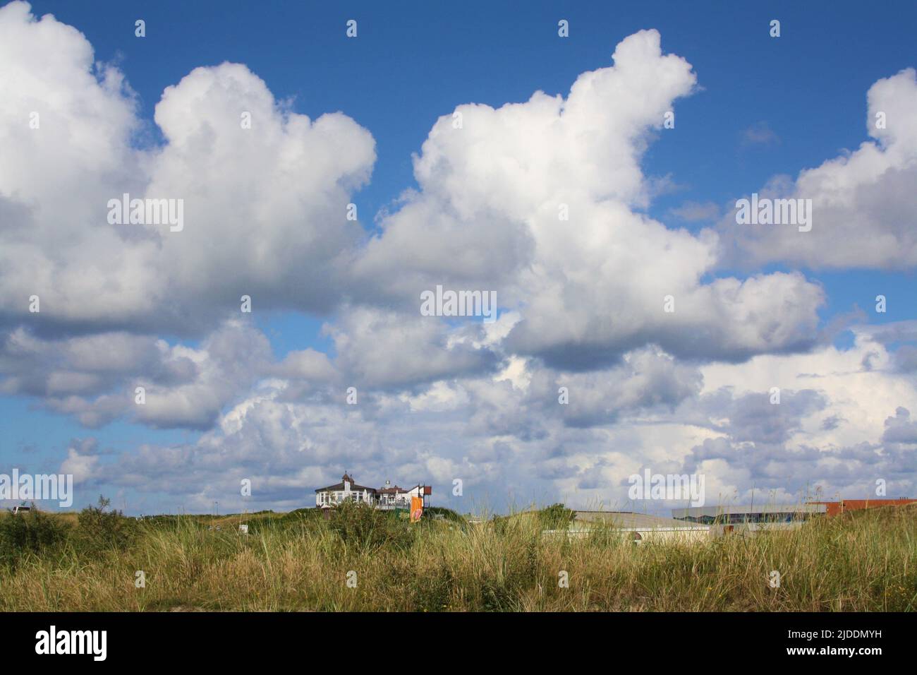 Vista sulle dune sulla sala spiaggia di Langeoog Foto Stock